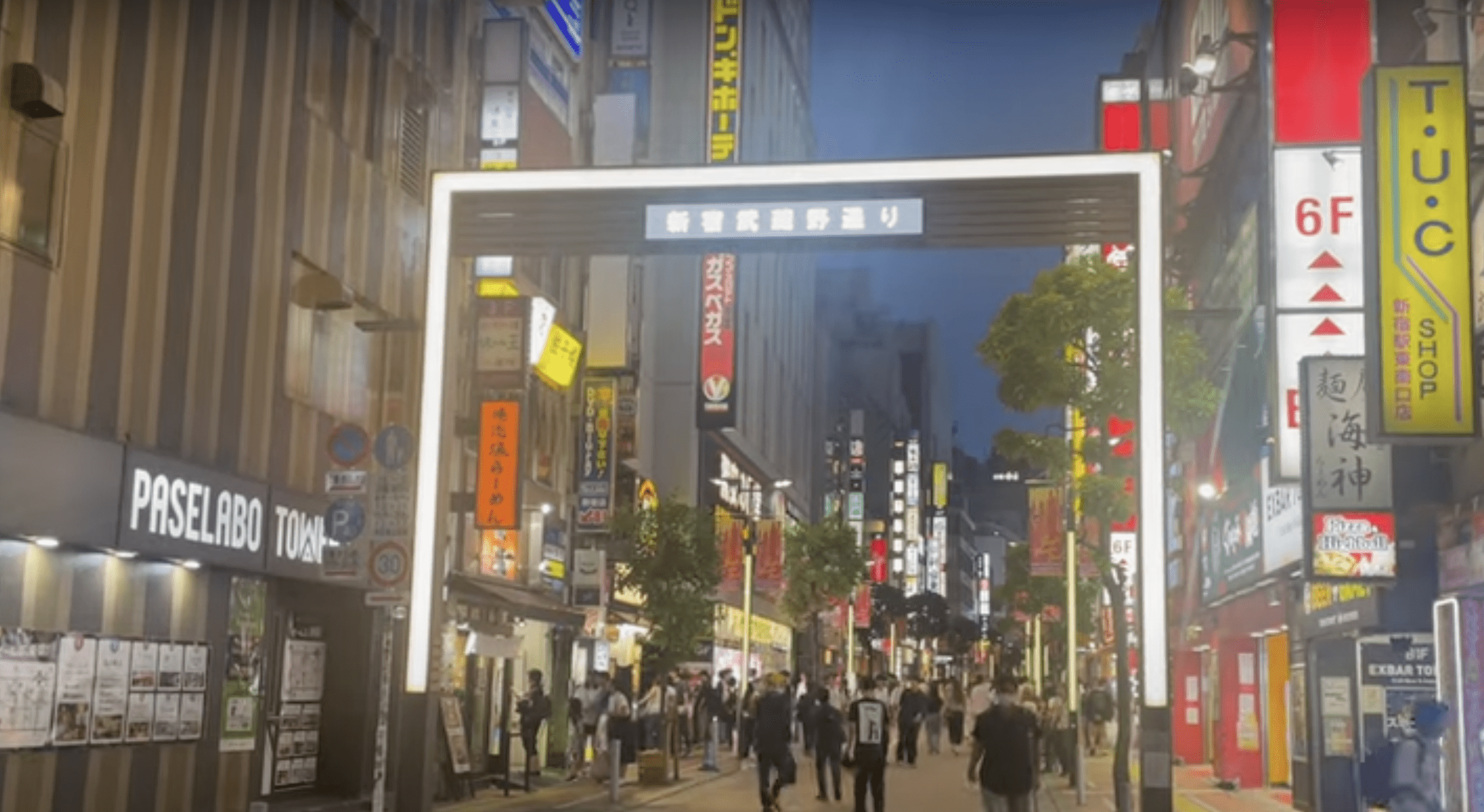 Japan Travel